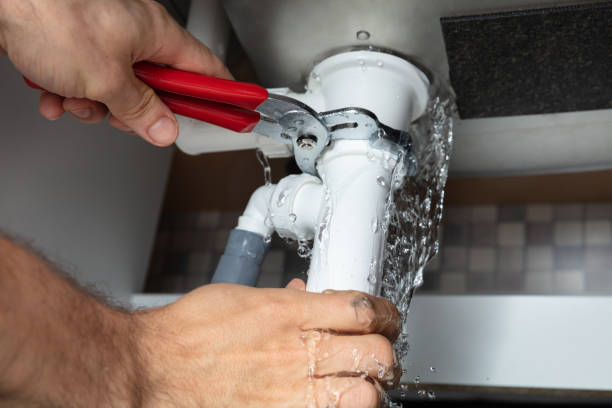 Best Professional water damage repair  in Pratt, KS
