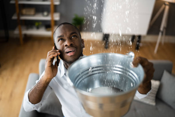 Best Ceiling water damage repair  in Pratt, KS