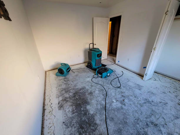 Best Local water damage restoration  in Pratt, KS