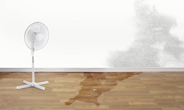 Best 24-hour water damage restoration  in Pratt, KS