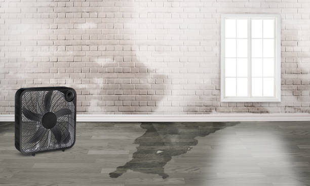Water damage restoration process in Pratt, KS