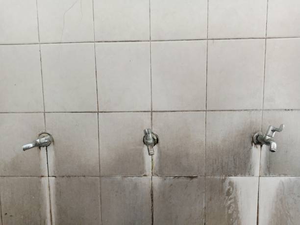 Best 24/7 water damage repair  in Pratt, KS