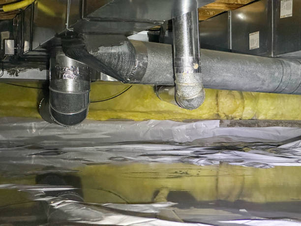 Best Water damage restoration process  in Pratt, KS