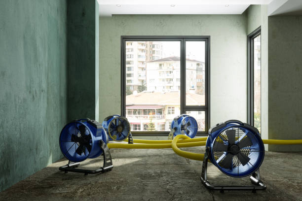 Best Flood restoration services  in Pratt, KS